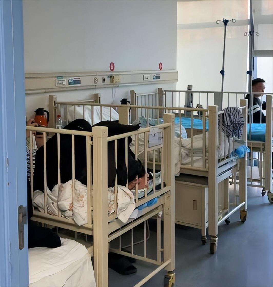 开云体育app安全-李亚鹏难掩激动：找到新地址还带公园，网友申请报名帮忙搬家